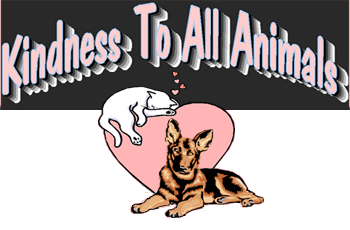 Click to Enter Kindness To All Animals